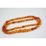 A SINGLE ROW GRADUATED AMBER BEAD NECKLACE 84cm. long, 62.2 grams.