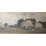ALFRED WILLIAM PARSONS, RA, PRWS (1847-1920) SHEEP IN A FIELD Signed and dated 1870, watercolour