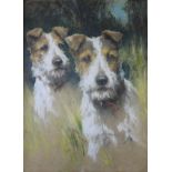 •ARTHUR WARDLE (1860-1949) A COUPLE OF WIRE FOX TERRIERS Signed, pastels on buff paper 55 x 39.