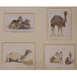 WILLIAM CARPENTER (1818-1899) CAMELS: DOCTORING A CAMEL'S FOOT; [DROMEDARY]; A FINE COMMISSARIAT