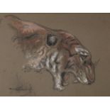 •RAYMOND JOHN VANDENBERGH (b.1889) HEAD OF A TIGER Signed, coloured chalks on buff paper 12.5 x