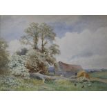 JOHN BATES NOEL (1870-1927) COUNTRY SCENE WITH A FALLEN TREE Signed, watercolour 25.5 x 35.5cm. ++ A