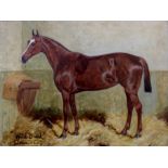 GEORGE PAICE `WILD DUCK`: PORTRAIT OF A LIGHT BAY RACE HORSE Signed, inscribed with title and