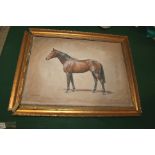 NEIL CAWTHORNE OIL PAINTING - PORTRAIT OF A HORSE a painted oil on canvas of Tyrnavos, winner of the