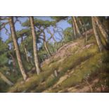 •FRANCOIS BIRBAUM (1872-1947) THE WOODLAND BANK Signed, pastels 24 x 34cm. ++ Good condition
