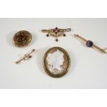 AN OVAL CARVED SHELL CAMEO BROOCH depicting a bacchante, 4.2 x 3.5cm., together with an amethyst and