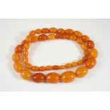 A SINGLE ROW GRADUATED AMBER BEAD NECKLACE 58cm. long, 47 grams.