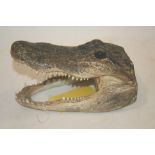 ALLIGATOR HEAD a unmounted head of an Alligator, 22cms long