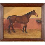 G** F** MILLIGAN A BAY HORSE IN A STABLE Signed and dated 1904, oil on canvas 34 x 41cm.