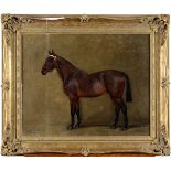M** BATTAMS EMPEROR: PORTRAIT OF A BAY HORSE Signed, inscribed with name and dated 1919, oil on