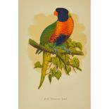 Greene, William Thomas. Parrots in Captivity, 3 volumes, first edition, 81 chromo-lithographed