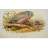 Lilford, Thomas L. Powys. Coloured Figures of the Birds of the British Islands, 7 volumes, first