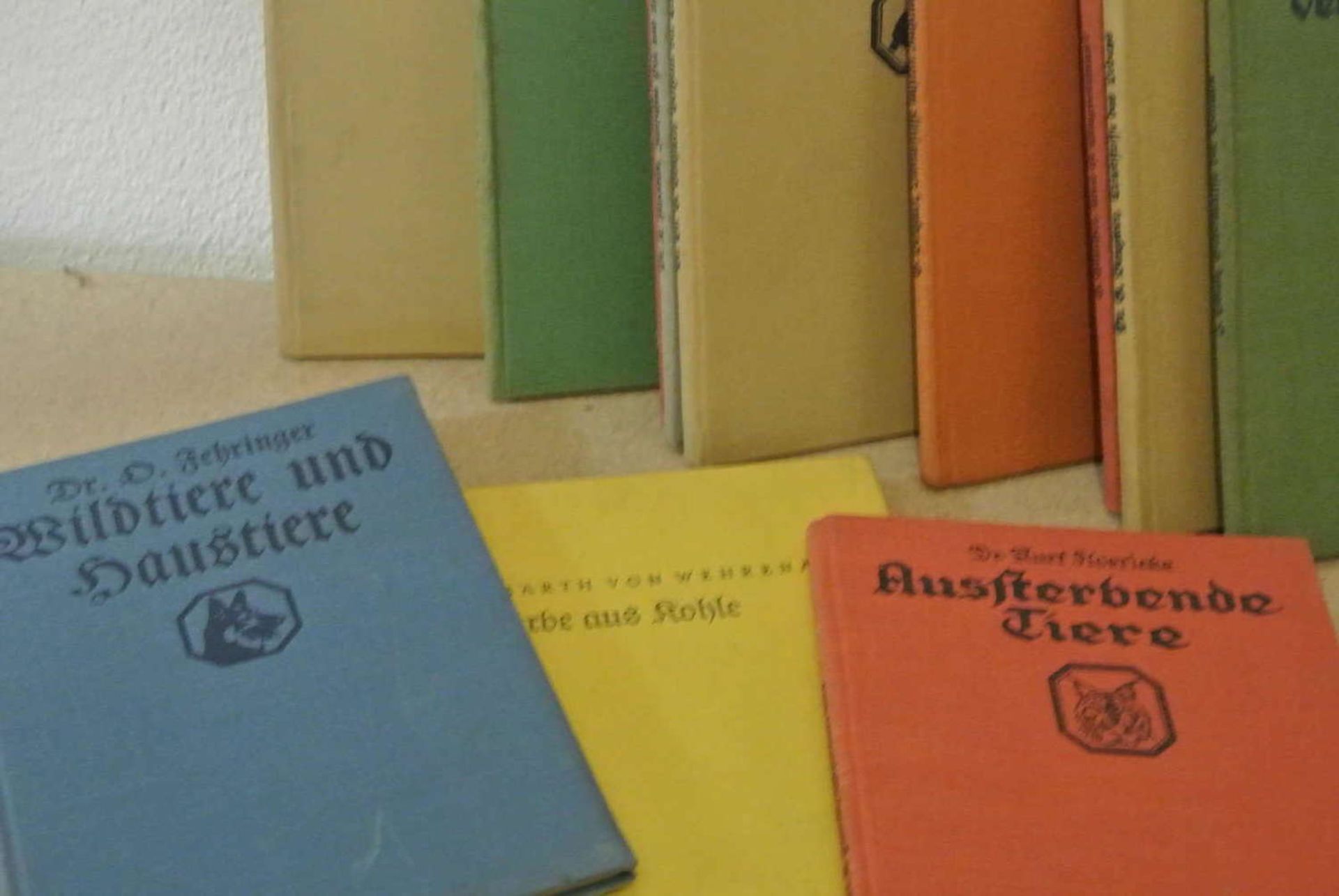 12 alte Sachbücher von Dr. Kurt Floericke, dabei z.Bsp. Aussterbende Tiere, Zwischen Pol und - Bild 2 aus 2