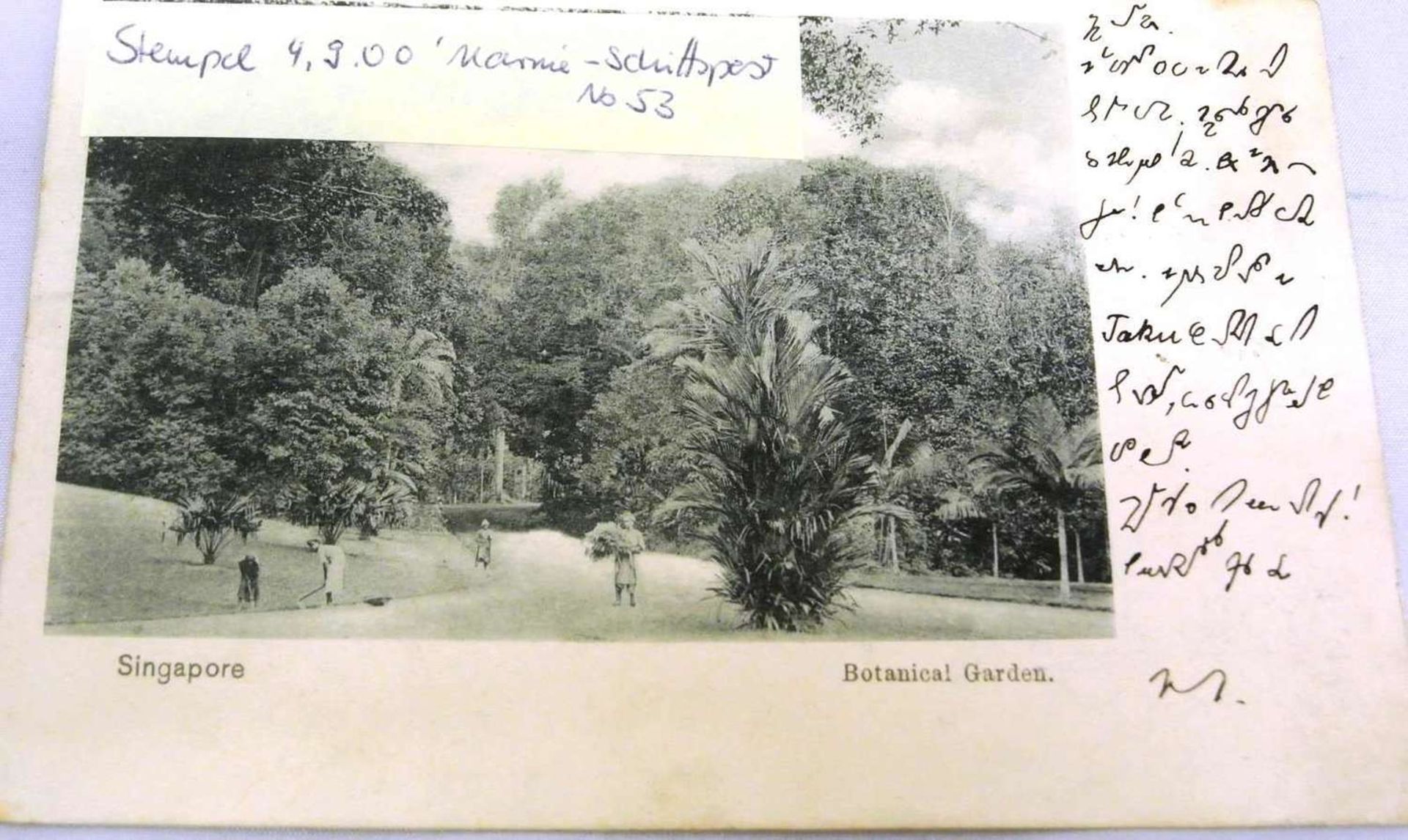 Ansichtskarte "Singapore. Botanical Garden" mit Stempel 4.9.00 Marine-Schiffspost No. 53 und