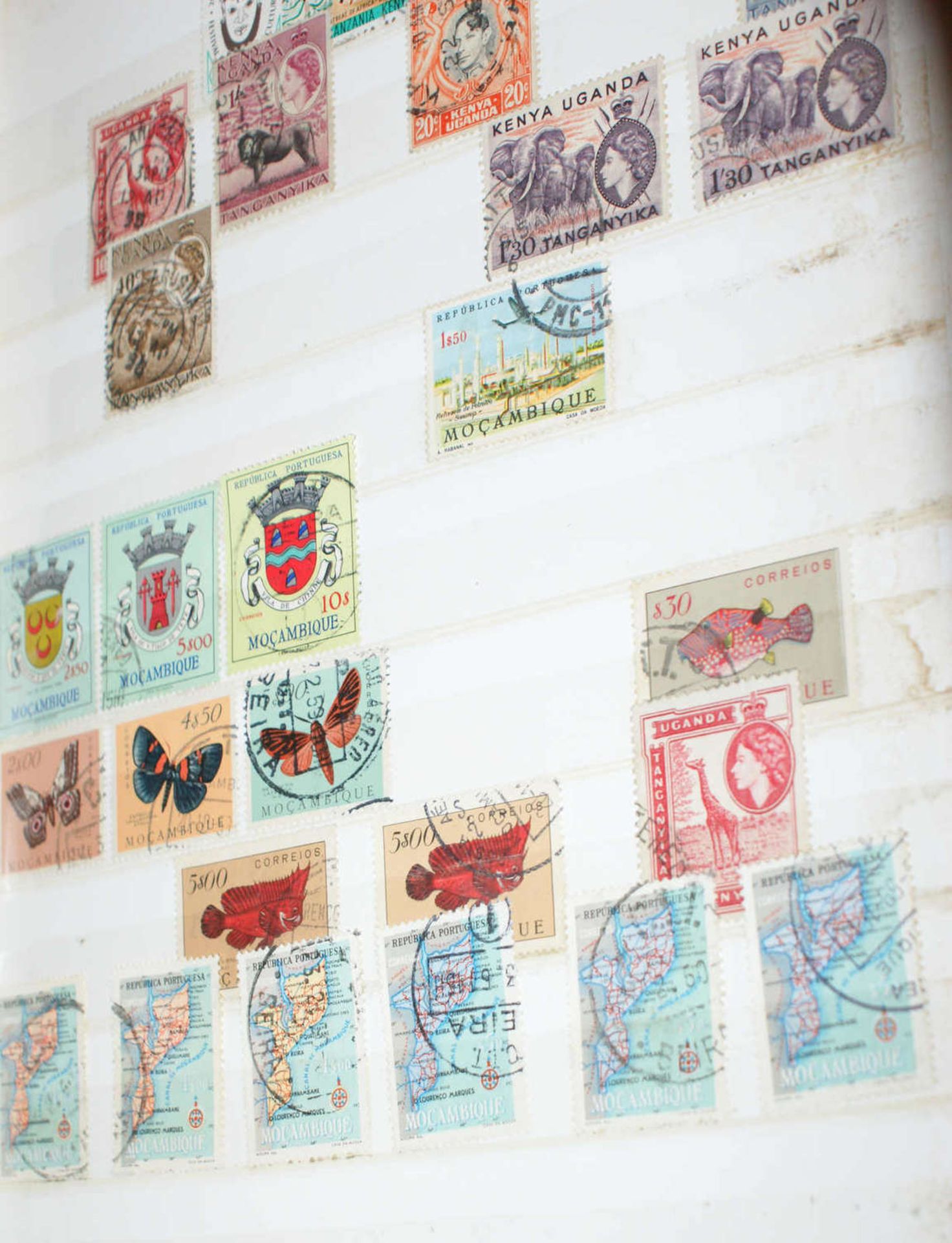 Alle Welt - Briefmarken Dubletten Konvolut, bestehend aus 13 Alben, teilweise schlecht gelagert. - Bild 6 aus 6