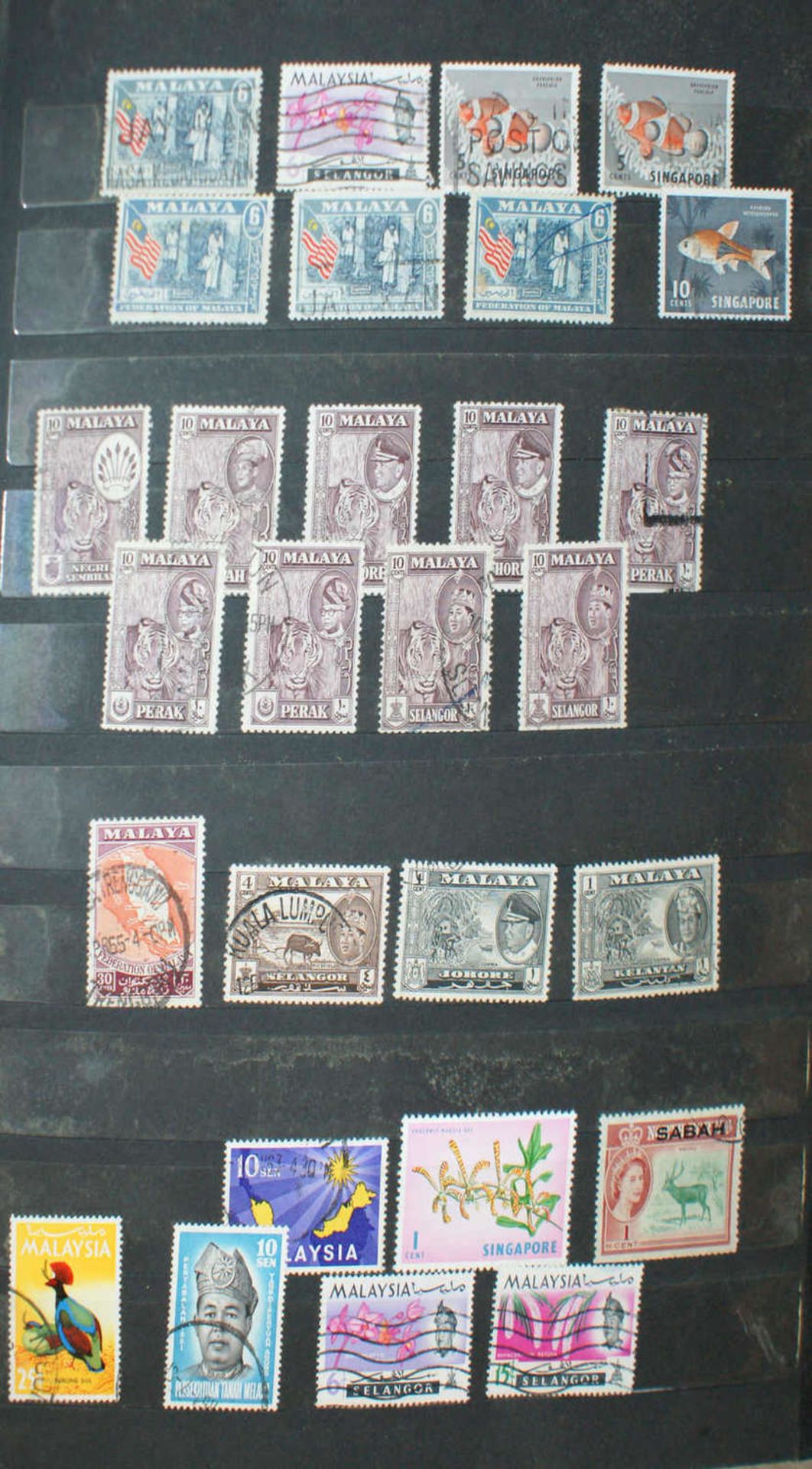 Alle Welt - Briefmarken Dubletten Konvolut, bestehend aus 4 Alben, teilweise schlecht gelagert. - Bild 4 aus 6