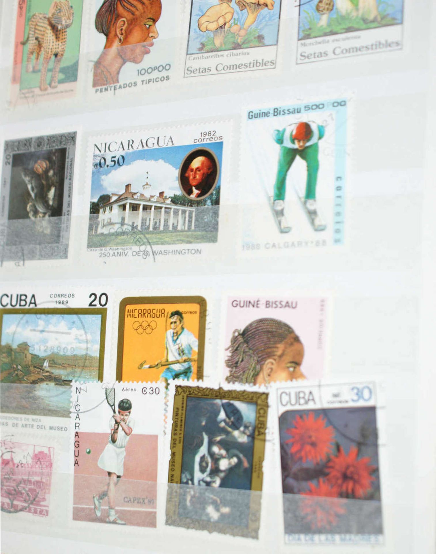 Alle Welt - Briefmarken Dubletten Konvolut, bestehend aus 13 Alben, teilweise schlecht gelagert. - Bild 2 aus 6