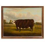 Artist Unknown, (British, 19th Century), Portrait of a Prized Bull