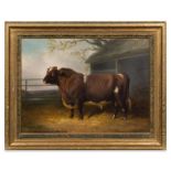 William Joseph Shayer, (British, 1811-1892), Portrait of a Bull, 1867