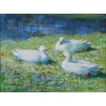 AR John Murray Thomson RSA RSW PSSA (1885-1974) Three ducks by the rivers edge oil on canvas