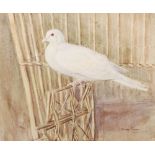 AR John Murray Thomson RSA RSW PSSA (1885-1974) The white dove watercolour, signed lower right