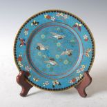 A Chinese blue ground cloisonne plate, Qing Dynasty, decorated with a central roundel of four red