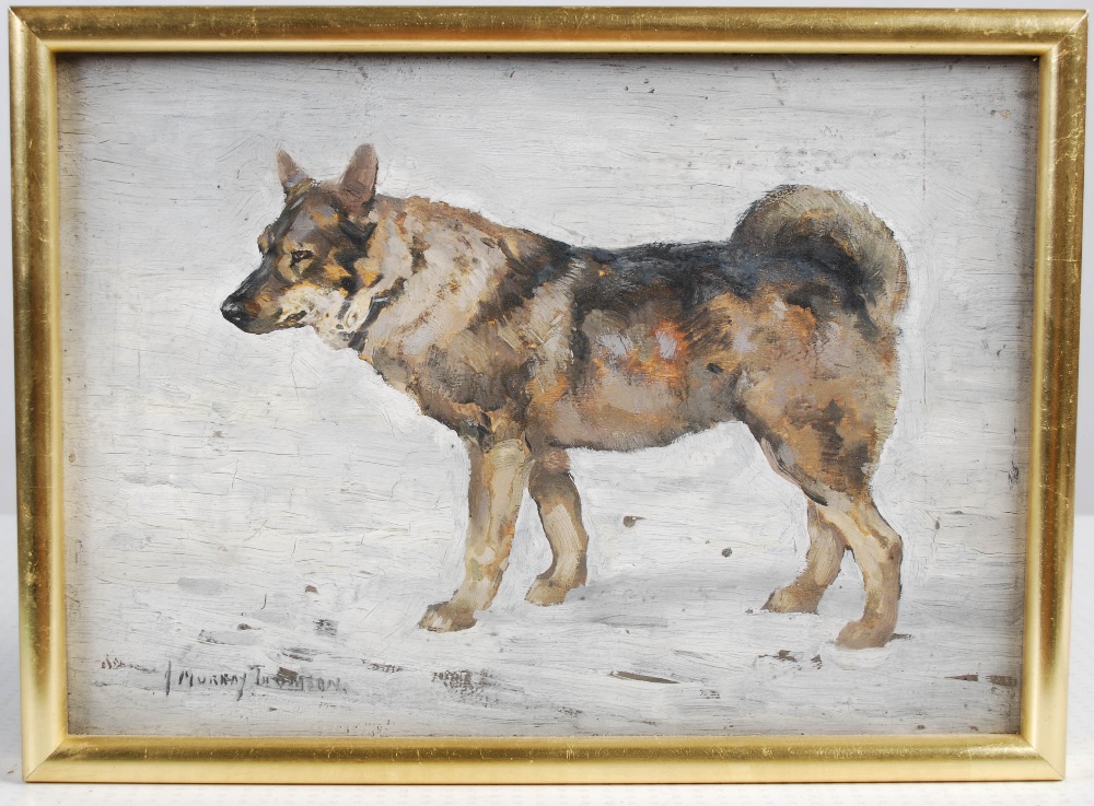AR John Murray Thomson RSA RSW PSSA (1885-1974) Elkhound oil on board, signed lower left 24cm x 33. - Image 2 of 14