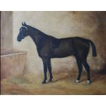 A. E. D. G. Stirling-Brown (fl.1900-1913) Havoc, portrait of a race horse oil on canvas, signed