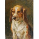 AR John Murray Thomson RSA RSW PSSA (1885-1974) Beagle IV oil on board, signed lower left 34cm x