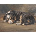 AR John Murray Thomson RSA RSW PSSA (1885-1974) Collie puppy oil on panel, signed lower right 26.5cm