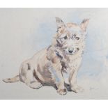 AR John Murray Thomson RSA RSW PSSA (1885-1974) The Pup - terrier watercolour, signed with