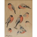 AR John Murray Thomson RSA RSW PSSA (1885-1974) Bullfinch sketches watercolour, signed lower left