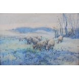 F.C.V. Ede (early 20th century) Sheep grazing watercolour, signed and dated 1900 lower right 30.