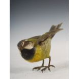 An early 20th century Austrian cold painted bronze model of a blue tit, 7.5cm high x 10.5cm wide