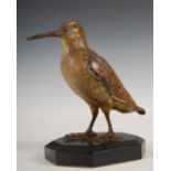 Franz Bergmann - an Austrian cold painted bronze model of a woodcock, mounted on ebonised