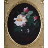 James Stuart Park (1862-1933) Still life with pink and white roses oil on canvas, oval, signed lower