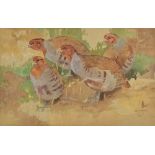 Ralston Gudgeon RSW (1910-1984) Covey of Partridges watercolour, signed lower right 34cm x 54cm