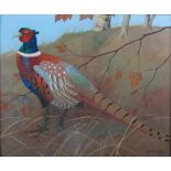 AR Ralston Gudgeon RSW (1910-1984) Cock Pheasant watercolour, signed lower right 49.5cm x 59.5cm