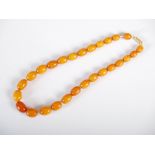 A set of graduated amber beads, comprising twenty seven graduated butterscotch coloured beads, 30.