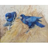 AR Ralston Gudgeon RSW (1910-1984) A pair of Rooks watercolour, signed lower right 50cm x 62.5cm