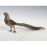 Franz Bergman, A cold painted bronze model of a Chinese pheasant, impressed marks, 17.5cm high x