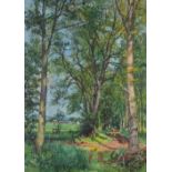 AR James McIntosh Patrick RSA ROI ARE LLD (1907-1998) Woodland Path, Dron watercolour, signed