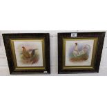 Pair of framed Victorian tiles - Cockerels - Signed Dean