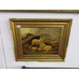 Oil on canvas in gilt frame - Sheep