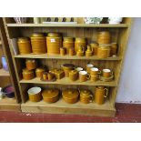 Large collection of Hornsea over 3 shelves