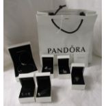 Bag of Pandora jewellery