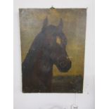 Small oil on canvas - Naive study of Horse