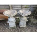 Pair of stone planters on plinths
