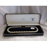 String of individually knotted pearls by Martin & Co