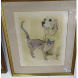 Watercolour - 'Labrador & cat' signed C.A. Sharpley